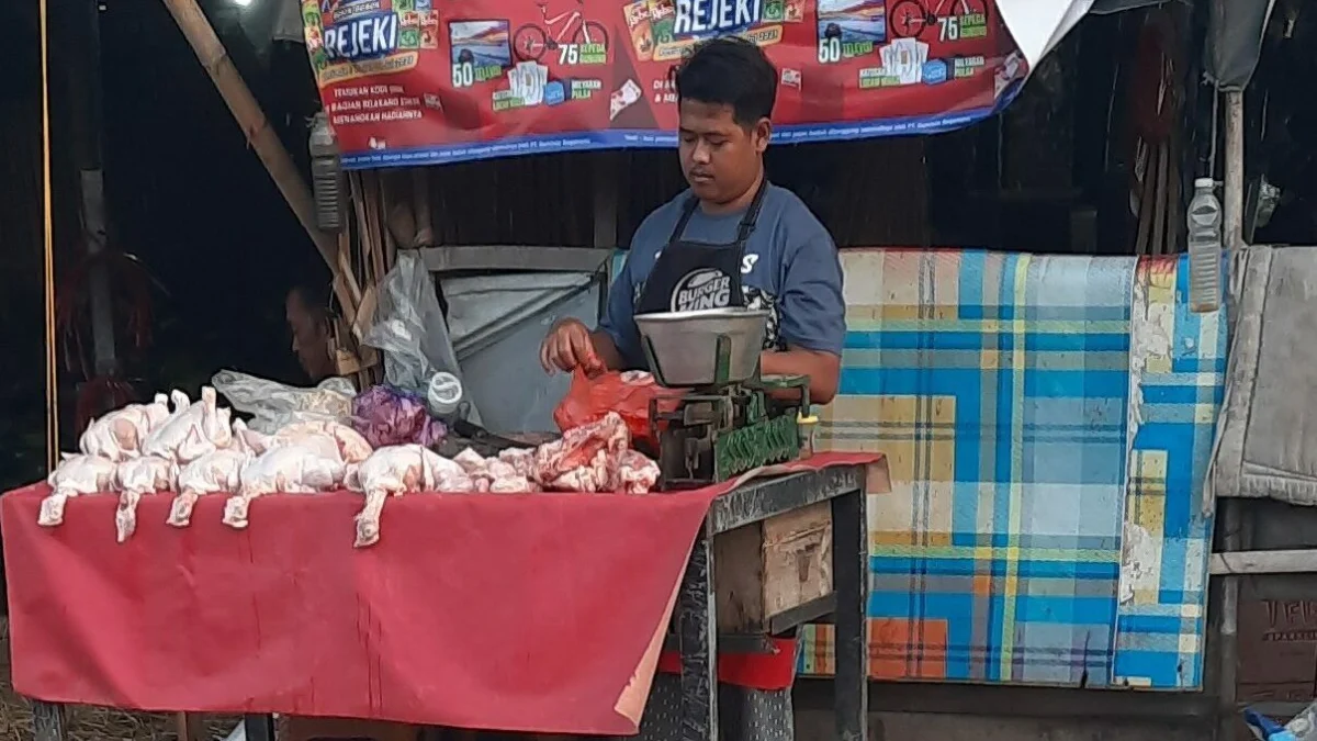 Jelang Puasa, Harga Daging Ayam dan Telur Naik