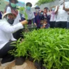 Hidupkan Lahan Mati, Bantu Penuhi Kebutuhan