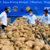 Presiden Minta Mentan Seriusi Porang