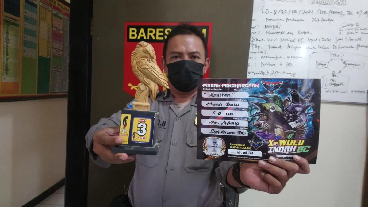 Dimasukkan ke Celana Dalam, Burung Juara Stres