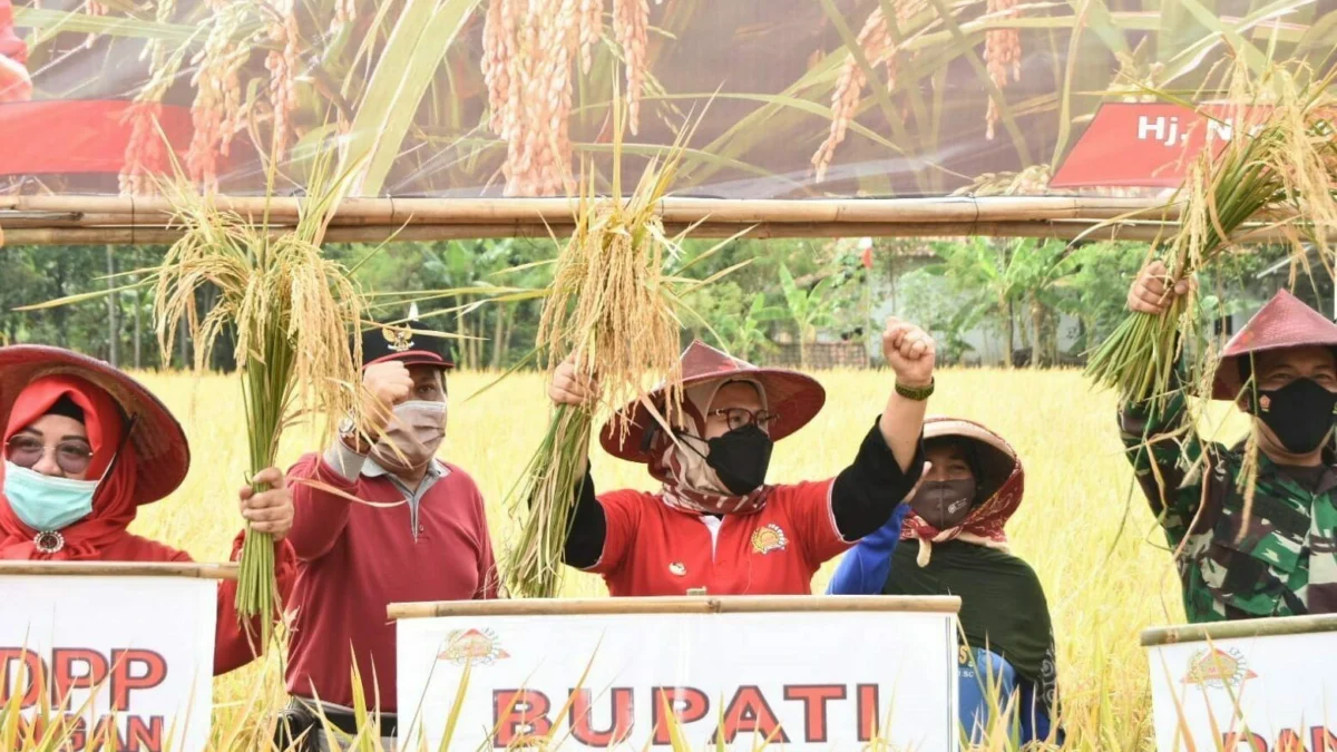 Pertahankan Lumbung Padi Nasional