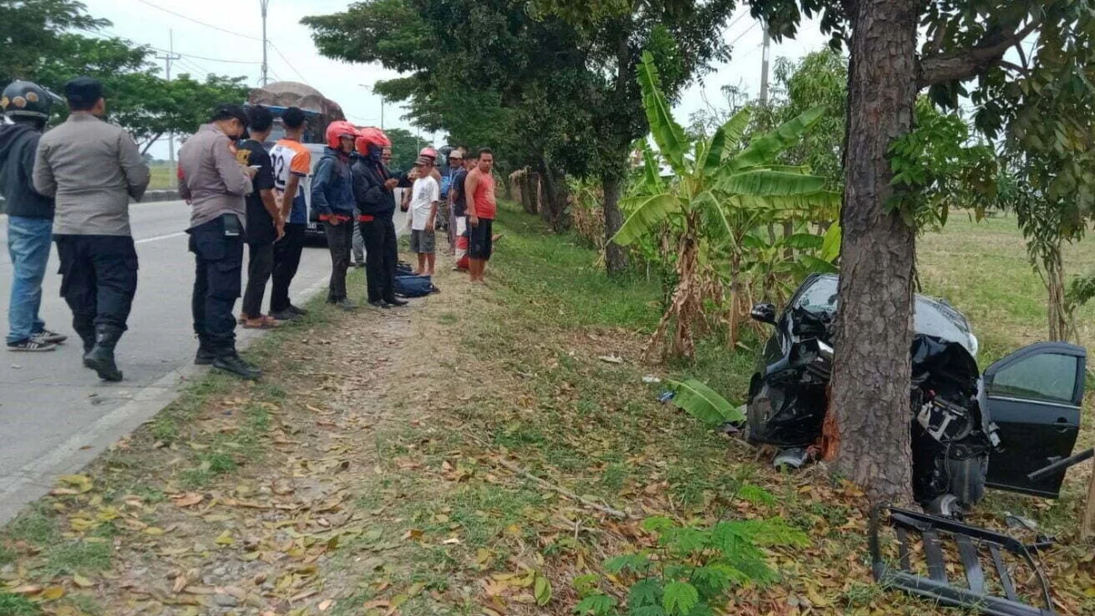 Airlangga: Sektor Pertanian Tumbuh