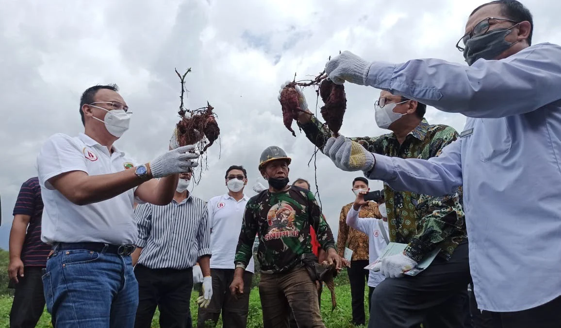 Butuh Ratusan Hektare Lahan dan Petani, Agroindustri Sistem ERP