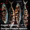 Pentingnya Protein Hewani Untuk Cegah Stunting