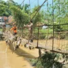 Kondisi jembatan sudah bisa dilalui oleh pejalan kaki. Rabu (11/1)