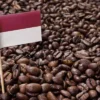 Jenis-Kopi-Indonesia-yang-Sukses-Mendunia