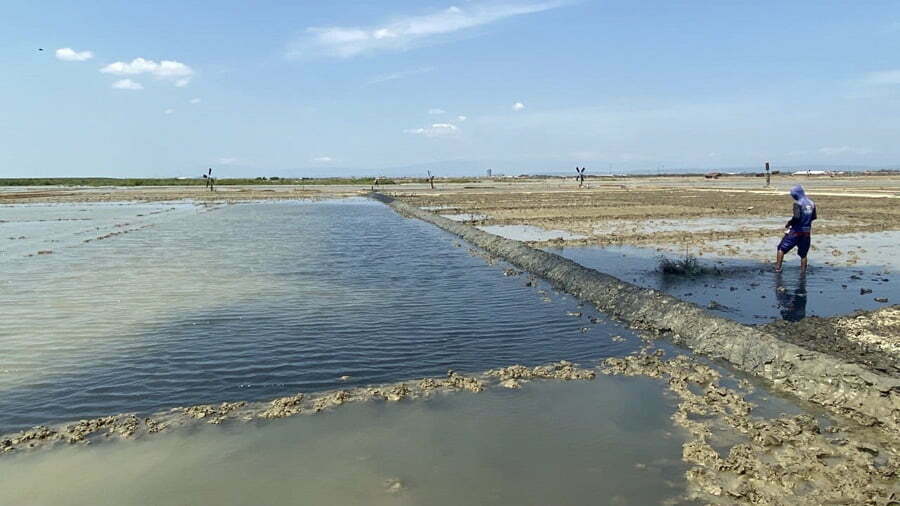 Lahan garam di Desa Rawaurip Kecamatan Pangenan belum berproduksi lagi karena terkendala cuaca