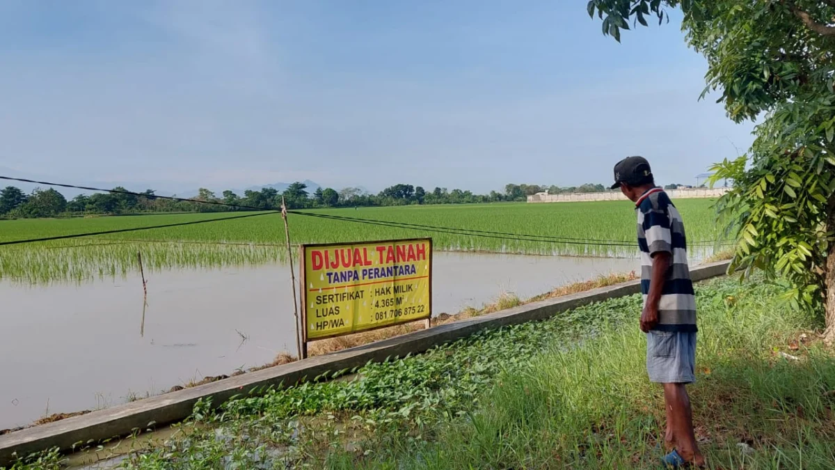 Di Wilayah Panguragan Banyak Lahan Pertanian Dijual, Apa Penyebabnya?