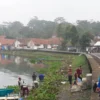 Waduk Darma Dipenuhi Eceng Gondok, Warga Ramai-ramai Membersihkannya 