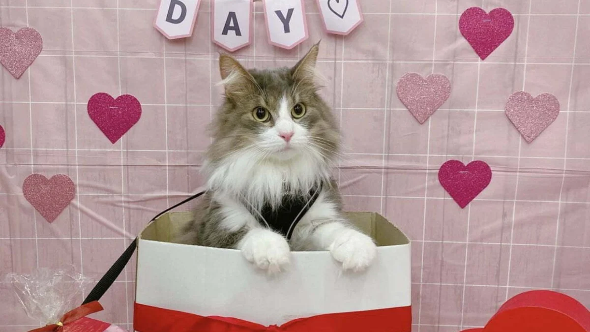 Catat, Ini Rekomendasi Hadiah Hari Valentine Berdasarkan Bulan Lahir