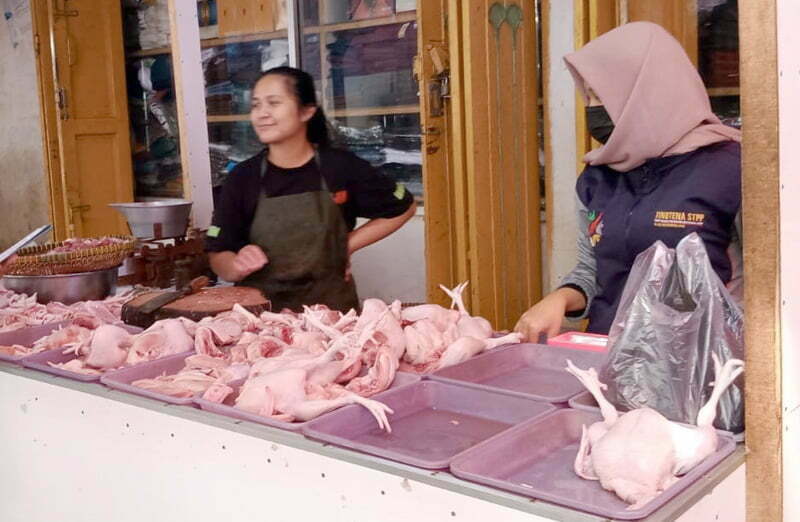 Harga daging ayam naik