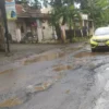 Jalan di sekitar Desa Palasah menuju Desa Waringin kondisinya rusak parah. Kerusakan juga terjadi di jalur Rajagaluh-Leuwimunding dan Rajagaluh-Palasah