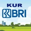 kur-bri-2023