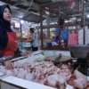 harga-daging