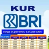 AUTO CAIR!!! KUR BRI 2023 Modal KTP: Pinjaman Rp 100 Juta, Jatuh Tempo Durasi Cicilan 5 Tahun: Rp 2.166.666 Per Bulan