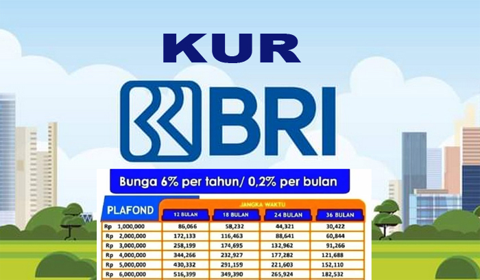 AUTO CAIR!!! KUR BRI 2023 Modal KTP: Pinjaman Rp 100 Juta, Jatuh Tempo Durasi Cicilan 5 Tahun: Rp 2.166.666 Per Bulan