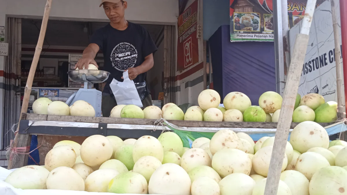 Berkah Ramadhan, Untung dari Jualan Timun Suri, Sekilo Harganya Rp 10 Ribu