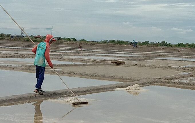 musim-kemarau