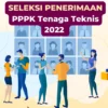 PPPK Teknis 2022