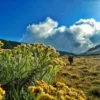 alun alun surya kencana gung gede pangrango