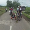 Warga menanam pohon pisang di jalan yang berlubang sebagai tanda waspada untuk pengendara sepeda motor