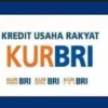 KUR BRI 2023 Online