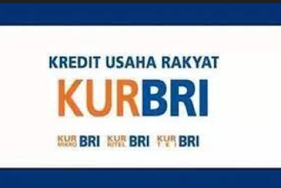 KUR BRI 2023 Online