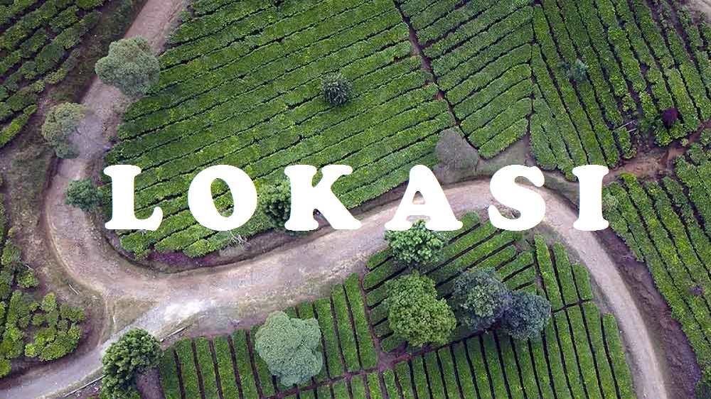 Ini Lokasinya!!! Kebun Teh Sukawana Lembang selalu jadi solusi tempat healing paling tepat