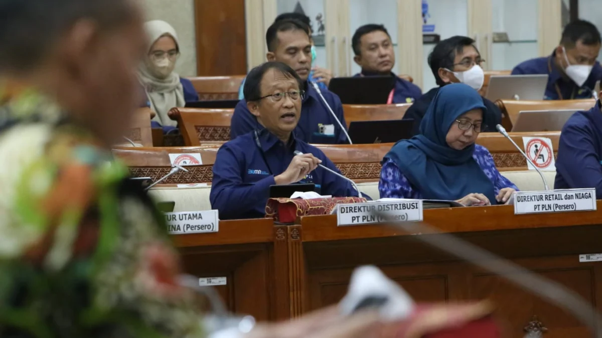 Komisi VI DPR Apresiasi PLN Siapkan Listrik Masa Mudik 2023, Lebih Dini, Lebih Baik, Lebih Antisipatif