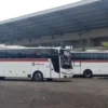 info lengkap bus primajasa