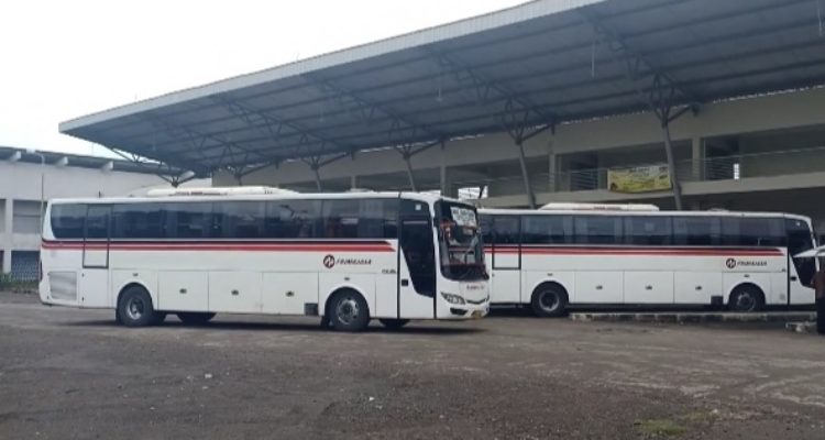 info lengkap bus primajasa