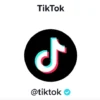 cara menghasilkan uang dari tiktok