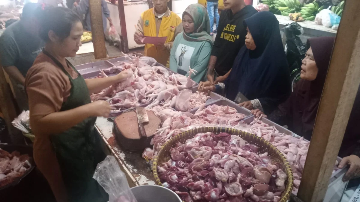 Harga daging ayam naik lagi