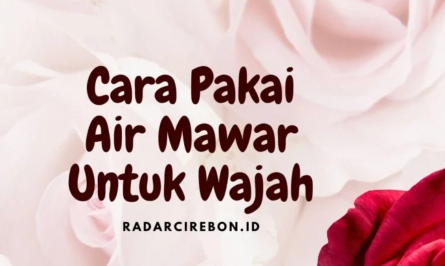 Cara Pakai Air Mawar Untuk Wajah