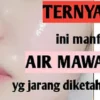 rahasia air mawar viva