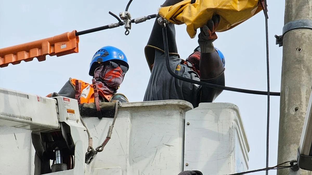 Lakukan Pemeliharaan dengan Sentuh Langsung, PLN Tingkatkan Keandalan Listrik Pelanggan