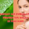 Manfaat air embun untuk perawatan wajah di pagi hari.