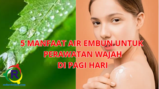 Manfaat air embun untuk perawatan wajah di pagi hari.