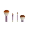 Brush makeup set