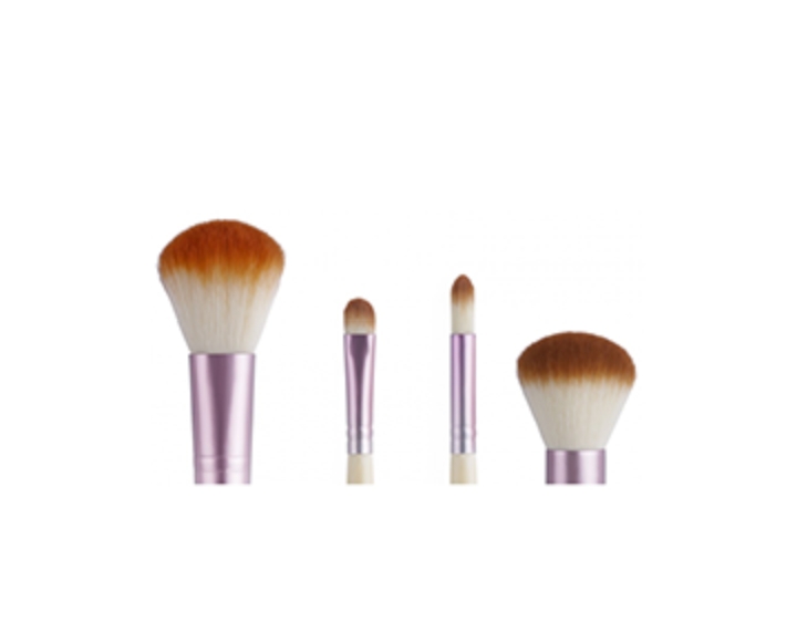 Brush makeup set