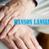 bansos lansia mandiri