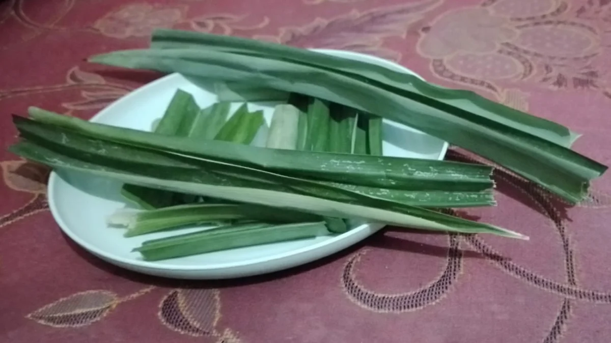 daun-pandan