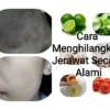 CARA MENGHILANGKAN JERAWAT SECARA ALAMI DAN CEPAT