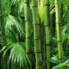 BAMBU EXOTIC ASAL INDONESIA YANG KEREN ABIS !!