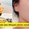 Cara buat masker madu dan minyak zaitun agar wajah glowing.