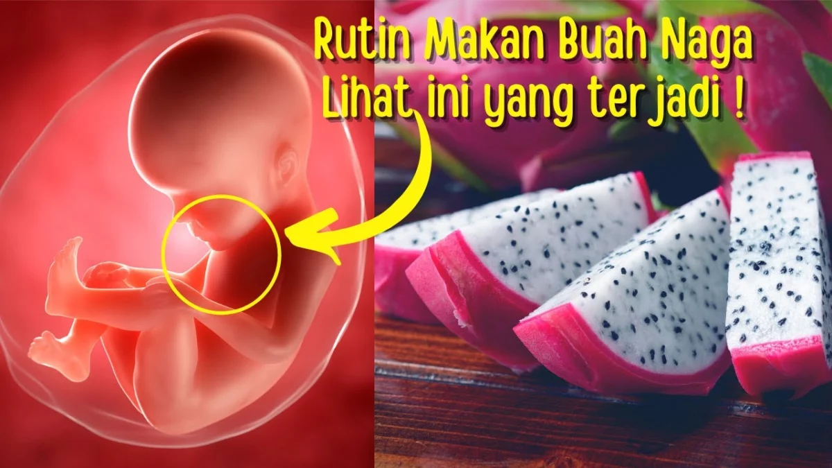 MANFAAT BUAH NAGA BUAT IBU HAMIL DAN KESEHATANYA