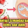 MANFAAT SEMANGKA BUAT IBU IBU HAMIL YANG BAGUS BANGET