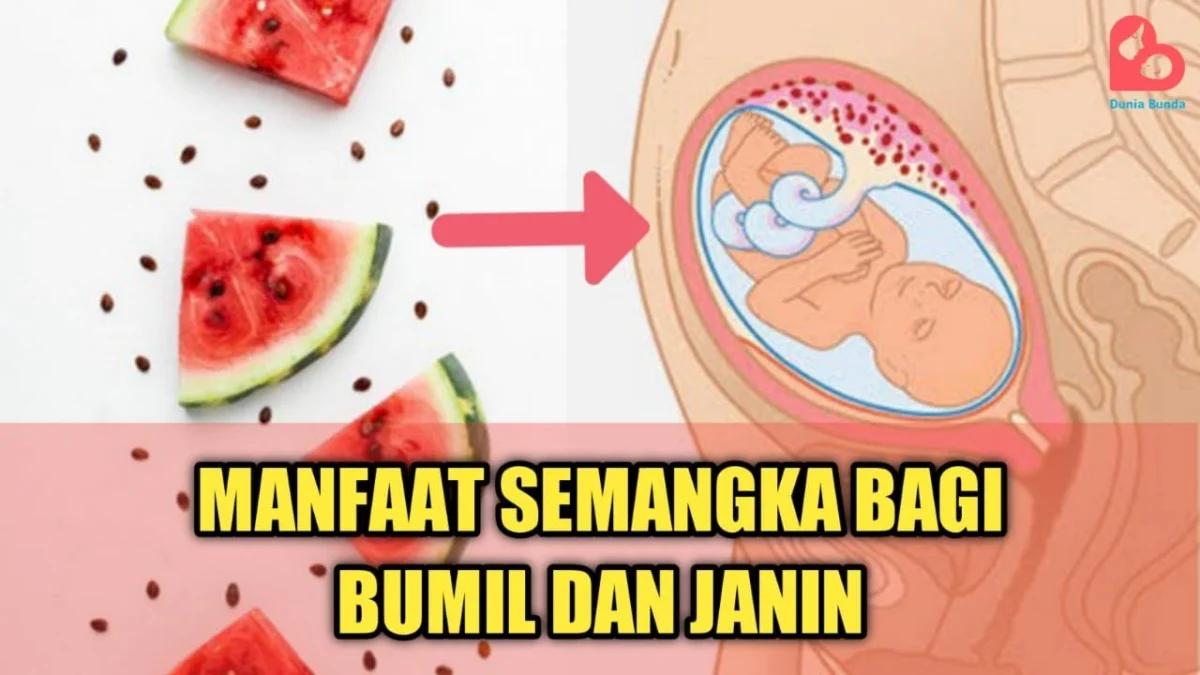 MANFAAT SEMANGKA BUAT IBU IBU HAMIL YANG BAGUS BANGET