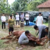 potong hewan dan salurkan daging kurban