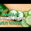 MANFAAT MENTIMUN BUAT WAJAH BIAR WAJAH KAMU CERAH